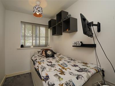 Picture 5